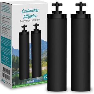 Cartouches Filtrantes pour Filtre à Eau par Gravité – Compatible avec Filtre Berkey et Berkefeld – Cartouche pour Filtre à Eau Haute Performance – Purification Efficace de l'Eau – Pack de 2