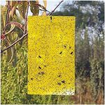 20PCS Yellow Sticky fruit fly flying Insect Garden Trap glue on double sided no mess 20 * 25CM