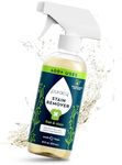 Puracy Stain Remover Cleaning Spray