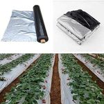 Kamal Agrotech Mulching Film/Paper, 30 Micron, 1m Width, 400m Length, for Vegetable Garden, Gardening, Potting Sheds, Tomatoes, Berries, Legumes, Fruit Trees, Orchids, Vegetables (30 Microns)