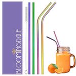 Bloomingdale Reusable Stainless Steel Straw with Cleaning Brush Long Metal Straws for Drinking, Reusable Set of 5 (2- Bend Pipe, 2- Long Straw, 1-Cleaning Brush) -Rainbow