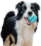 Black Rhino Interactive Dog Chew Toy Ball - Bite-Resistant Dog Treat Ball Dispenser Feeder,Puppy Teething & Mind Stimulating Training Exercise (Pack of 2)