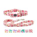 Olahibi Dog Collar and Leash Set, Cute Lily Pattern, Polyester Material, 5ft Matching Leash, for Medium Dogs.(Medium,Pink Lily)