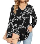 HOTGIFT Ladies Long Puff Sleeve Tops Casual V Neck T-Shirts Loose Fitting Cute Chiffon Blouses Black Carving Small