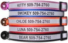 GoTags Personalized Reflective Cat 