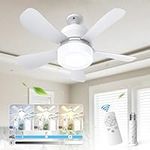 Eonini Socket Fan Light -Ceiling Fa