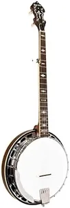 Gold Tone OB-150: Orange Blossom Banjo with Case, 5-String Banjo