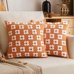 EMEMA Fall Orange Decorative Throw 