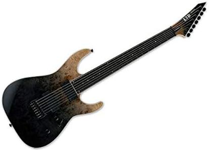ESP Guitar