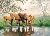 Cobble Hill Family Piece's 350 Puzzle - Horse Family - Sample Poster Included