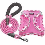 haapaw Dog Harness and Lead Set, No Pull Adjustable Reflective Step-in Puppy Harness with Thickened Padded Vest for Extra-Small/Small Medium Dogs