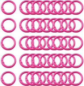 Carabiner Clip 48Pcs Rose Metal Key Ring Clip Circle Keychain Rings Bulk Spring O Ring Round Cute Carabiner Spring Snap Hook Key Chain Clips for DIY Keychain Bag Charm Handbag Purse Dog