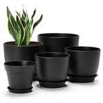 7 Pack Mix Size Plastic Plant Pots, 6.2/5.4/4.8/4.5/4 inch Indoor Planters with Drainage Holes and Tray, Thickened Plastic Flowers Pots for Plants, Succulents, Snake Plant and Cactus, Black