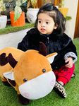 DearJoy Big Size Fibre Filled Stuffed Animal Cow Soft Toy For Baby Of Plush Hugging Pillow Soft Toy For Kids Boy Girl Birthday Gift (50 Cm, Brown), 1 Count