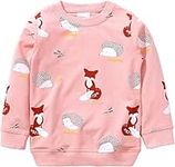 Girls Christmas Sweatshirt for Kids Cotton Top Casual Jumper T Shirt Toddler Clothes Long Sleeve Pullover Winter, 01 Pink, 1-2 Years