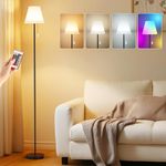 Heimera Floor Lamp, USB Rechargeable Wireless Standing Lamp with Remote Control, Multiple Light Modes & RGB, Modern Floor Lamps for Living Room, Bedroom, Office, Outdoor Patio, Courtyard