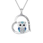 Fryneauy Owl Necklace Sterling Silver Owl Pendant Necklace Graduation Gift Jewelry Gifts for Women Men