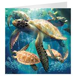 3D LiveLife Greeting Card - Sea Turtle Swim from Deluxebase. Lenticular 3D Blank Greeting Cards with Envelopes. Sea Turtle All Occasion Greeting Cards featuring Original Artwork by Michael Searle.