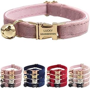PETDURO Personalized Velvet Cat Collars with Bells & Name Engraved Metal Buckle Customized for Cute Girl Cats and Boy Cats (Large, Champagne Pink Velvet Gold Buckle)