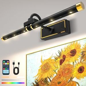Laliled Luz Inalámbrica para Cuadros con Control Remoto, Cabezal de Luz LED Giratorio 4 Modos 9 Colores con Temporizador, Luz de Pared Regulable para Obras de Arte, 400 LM 16 Pulgadas