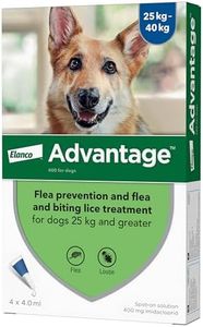Advantage 