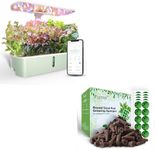 LPH-Air Hydroponics Growing System 