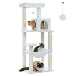 PAWZ Road Cat Tree for Large Cats with Metal Frame Big Hammock, Cat Tower for Indoor Cats with 2 Door Condo House, [56.3"=143cm] Multi-Level Cat Shelves with Scratching Posts and Top Perch, White