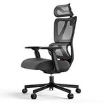 ProtoArc EC100 Ergonomic Office Chair – Computer Desk Chair for Work with 10cm Thicker Spring Cushion, Lumbar Support, Adjustable Armrest & Headrest, Swivel Mesh Chair for Home Office, Black
