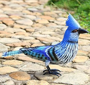 Blue Jay M
