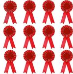 12 Pieces Blank Award Ribbon, 1st Place Prize Rosette Ribbon, Deluxe Recognition Ribbons for Sports Event, Spelling Bees, School Science Fairs, Talent Shows Contest