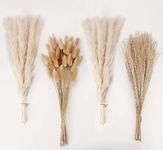 Artificial Pampas Grass Decor, White Pampas Grass， Bunny Tails Dried Flowers, Reed Grass Bouquet for Wedding Boho Flowers Home Table Decor, Rustic Farmhouse Party (100 in Total )