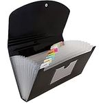 JAM PAPER Accordion Folders - 13 Pocket Plastic Expanding File - Check Size - 127 x 266.7 mm (5" x 10 1/2") - Black - Sold Individually