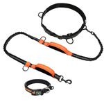 F-color Dog Collar and Leash Set - Hands Free Dog Leash with Basic Collar - Waist Dog Leash with Strong Bungees and Double Padded Handles and Dog Collar for Walking Jogging Hiking, Black