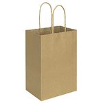 bagmad 100 Pack 5.25x3.25x8 inch Brown Small Paper Bags with Handles Bulk, Gift Paper Bags, Kraft Birthday Party Favors Grocery Retail Shopping Craft Bags Takeouts Business (Plain Natural 100pcs)