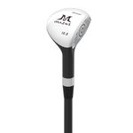 MAZEL Mini Driver/Iron Golf Clubs Swing Trainer Aid to Improve Your Hitting Accuracy & Speed (Black, Mini Driver)