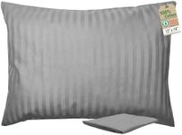 ZPECC Toddler Pillow with Pillowcas