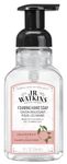 J.R. Watkins Grapefruit Foaming Hand Soap For Bathroom or Kitchen, Scented, USA Made And Cruelty Free, 266 Milliliters