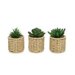 Anko Set of 3 Artificial Succulent Plants with Rattan Look Pots | Decorative Artificial Plant for Home, Office, Bedroom, Balcony, Living Room, Table Top | Natural Look Artificial Plant for Home Décor