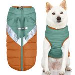 Gooby Mountaineer Dog Jacket - Jade, X-Large - Warm Zip Up Coat with Lift Handle and Dual O Ring Leash - Winter Water Resistant Small Dog Sweater - Dog Clothes for Small Dogs and Medium Dogs