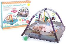 RLS Unisex Grey Baby Activity Gym Play mat, with Safety Netting for Protection and Toddler Ball Pit