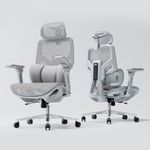 XiGoal S9 Ergonomic Office Chair 3-Zone Lumbar Support for Back Pain Relief