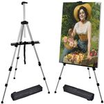 Portable Artist Easel Stand for Pai