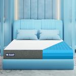 The Sleep Company SmartGRID Luxe 10 Inch King Size Soft Mattress with LuxioTec for Luxury Comfort | 10 Years Warranty | Luxury Mattress Double Bed with Patented Japanese SmartGRID Technology | 78x72