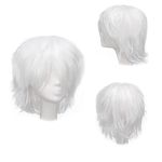 Gairyan Short White Wig Cosplay Wig Unisex Anime Cosplay Wigs for Women/Men Straight Fluffy Wig Costume Theme Party Fancy Dress Wigs Halloween Wig Comic-Con Costumes Accessories