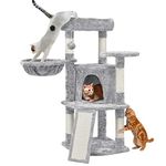 Cat Tree Stands