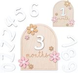 HONOCOOLS Baby Monthly Milestone Cards - Wooden Monthly Milestone Discs - Newborn Photography Props to Document Your Baby's Growth - Baby Announcement Sign (Flower), (BMM01)