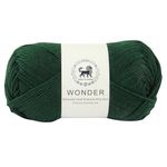 NESTNHAVEN, Wonder , Poly Yarn Supersoft Hand Knitting Wool Ball, (1 Ball/100 Gram Each) Ball Suitable for Craft, Crochet, Amigurumi, Embroidery, Toys, Garments, Flowers and Hobby Projects , 2 Fine , Shade no - NNHW (Bottle Green)