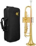 Aurosus bb trumpet 6331 brass b flat trumpet for beginners and intermediate players gold lacquer finish stainless steel valves phosphorus copper leadpipe hard case and accessories included