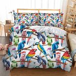 Parrot Duvet Cover Set Double Size Colourful Bedding Set for Boys Girls Kids Youth Teens Macaw Budgerigar Bird Duvet Cover Novelty Tropical Animal Decor 3D Printed Comforter Cover Quilt Cover