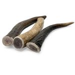 Treaby: Pack of 3 Natural Deer Antler Dog Chews - Long-Lasting Dog Toys for Dogs, Ideal for Small Breeds & Puppies